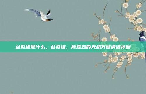 丝瓜络是什么,丝瓜络,被遗忘的天然万能清洁神器