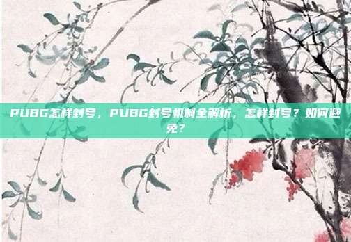 PUBG怎样封号,PUBG封号机制全解析,怎样封号?如何避免?