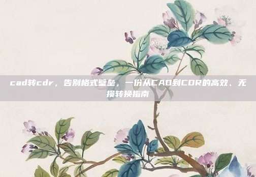 cad转cdr,告别格式壁垒,一份从CAD到CDR的高效、无损转换指南