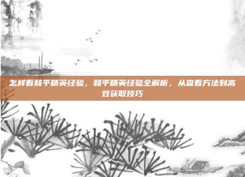 怎样看和平精英经验,和平精英经验全解析,从查看方法到高效获取技巧