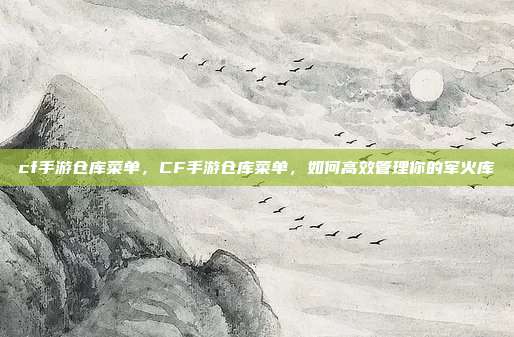 cf手游仓库菜单,CF手游仓库菜单,如何高效管理你的军火库
