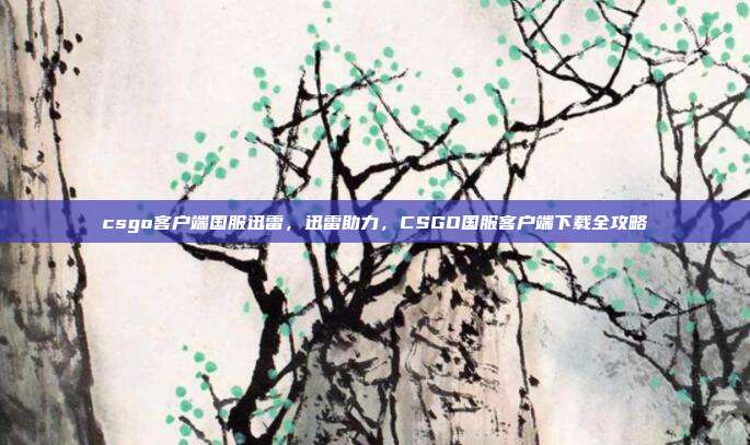 csgo客户端国服迅雷,迅雷助力,CSGO国服客户端下载全攻略