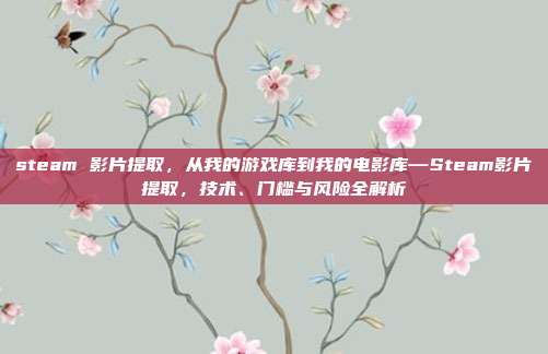 steam 影片提取,从我的游戏库到我的电影库—Steam影片提取,技术、门槛与风险全解析