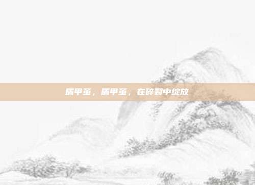 盾甲茧,盾甲茧,在碎裂中绽放