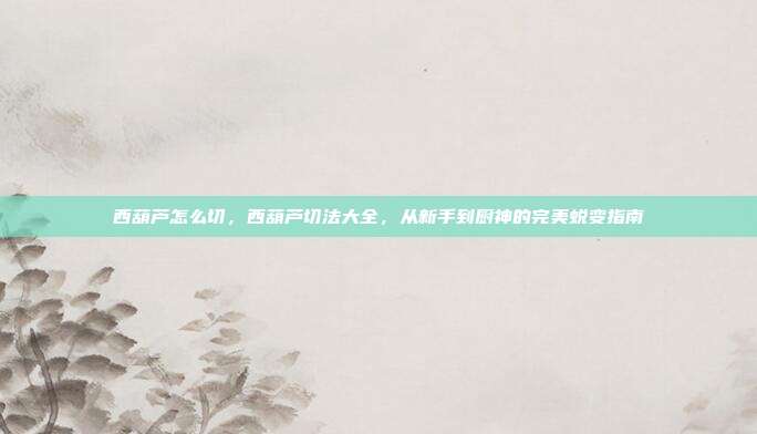 西葫芦怎么切,西葫芦切法大全,从新手到厨神的完美蜕变指南