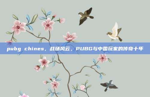 pubg chines,战场风云,PUBG与中国玩家的传奇十年