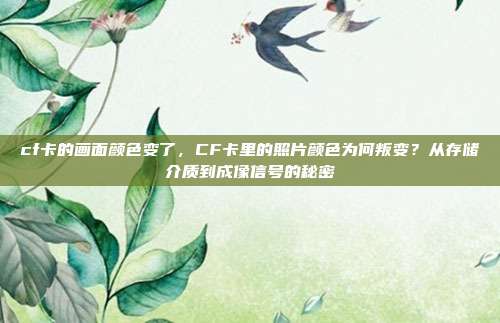 cf卡的画面颜色变了,CF卡里的照片颜色为何叛变?从存储介质到成像信号的秘密