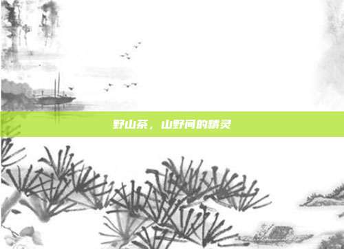 野山茶,山野间的精灵