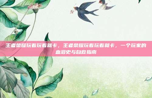 王者荣耀玩着玩着就卡,王者荣耀玩着玩着就卡,一个玩家的血泪史与自救指南