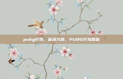 pubg打鸟,雀落九霄,PUBG打鸟图鉴