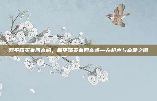 和平精英有回音吗,和平精英有回音吗—在枪声与寂静之间