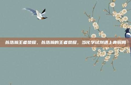 翁浩瀚王者荣耀,翁浩瀚的王者荣耀,当化学试剂遇上青铜局