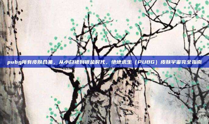 pubg所有皮肤合集,从小白裙到镀金时代,绝地求生(PUBG)皮肤宇宙完全指南