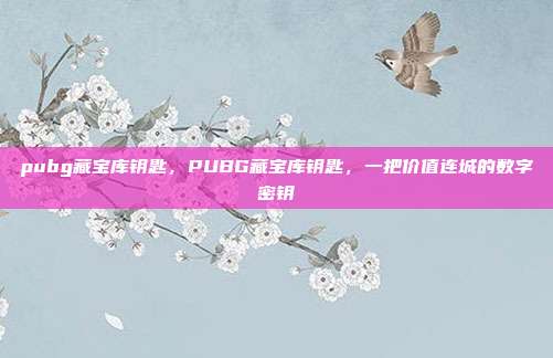 pubg藏宝库钥匙,PUBG藏宝库钥匙,一把价值连城的数字密钥