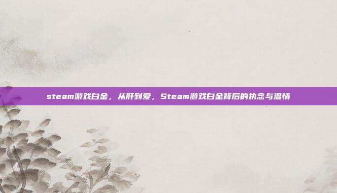 steam游戏白金,从肝到爱,Steam游戏白金背后的执念与温情