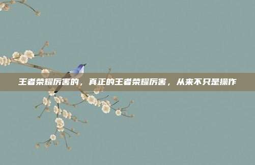 王者荣耀厉害的,真正的王者荣耀厉害,从来不只是操作