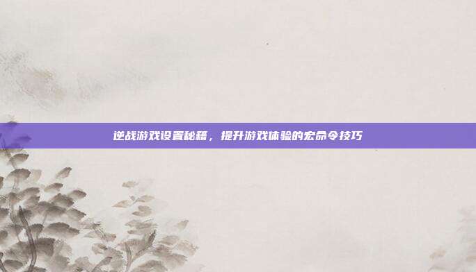 逆战游戏设置秘籍,提升游戏体验的宏命令技巧