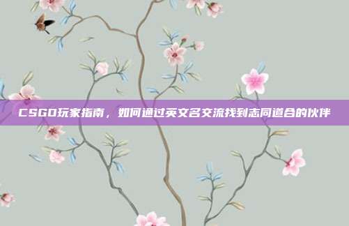 CSGO玩家指南,如何通过英文名交流找到志同道合的伙伴