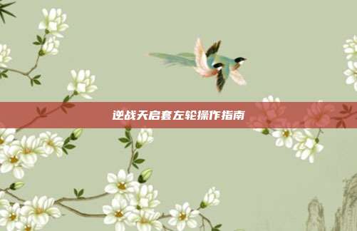 逆战天启套左轮操作指南