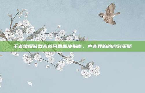 王者荣耀游戏音效问题解决指南,声音异响的应对策略