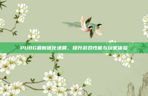 PUBG最新优化进展,提升游戏性能与玩家体验