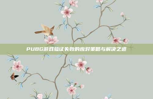 PUBG游戏验证失败的应对策略与解决之道
