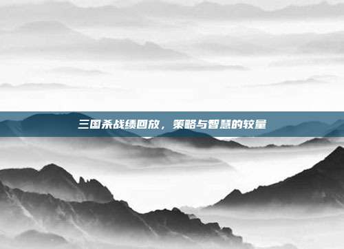 三国杀战绩回放,策略与智慧的较量
