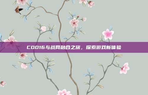 COD16与战网融合之旅,探索游戏新体验