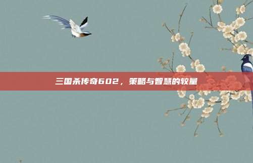 三国杀传奇602,策略与智慧的较量