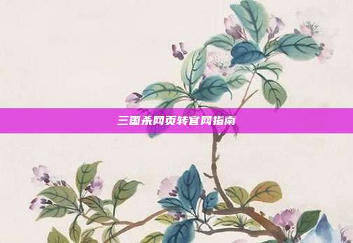 三国杀网页转官网指南