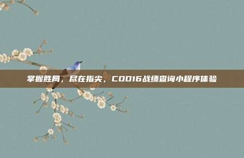 掌握胜局,尽在指尖,COD16战绩查询小程序体验