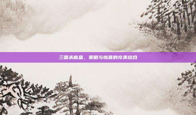 三国杀盲盒,策略与惊喜的完美结合