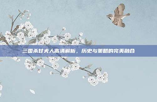 三国杀甘夫人高清解析,历史与策略的完美融合