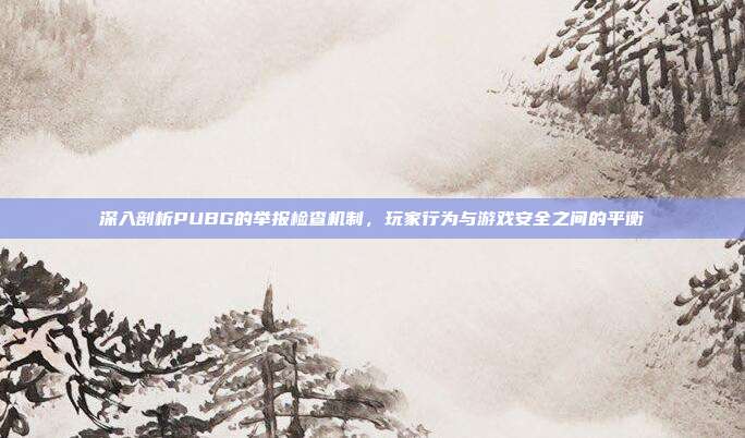 深入剖析PUBG的举报检查机制,玩家行为与游戏安全之间的平衡