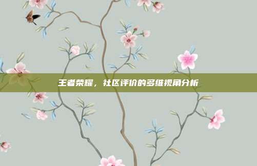 王者荣耀,社区评价的多维视角分析