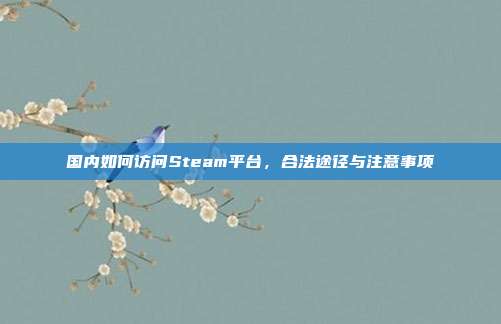 国内如何访问Steam平台,合法途径与注意事项