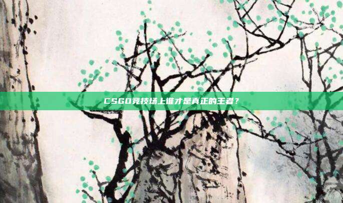 CSGO竞技场上谁才是真正的王者?