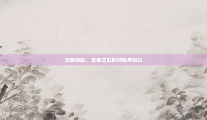 王者荣耀,王者之位的荣耀与挑战