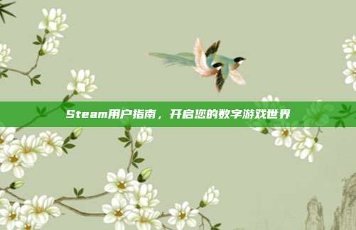Steam用户指南,开启您的数字游戏世界