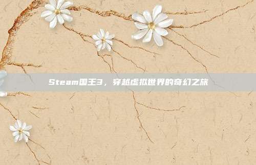 Steam国王3,穿越虚拟世界的奇幻之旅