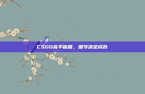 CSGO高手秘籍,细节决定成败