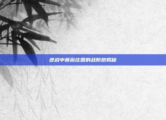 逆战中蔷薇庄园的战防炮揭秘