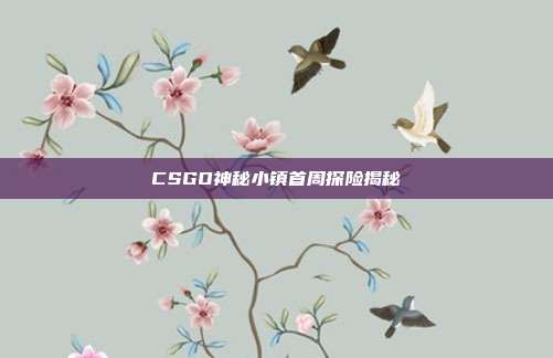 CSGO神秘小镇首周探险揭秘