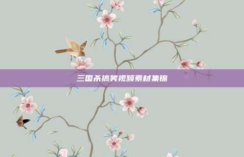 三国杀搞笑视频素材集锦