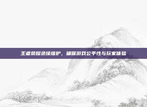 王者荣耀录像维护,确保游戏公平性与玩家体验