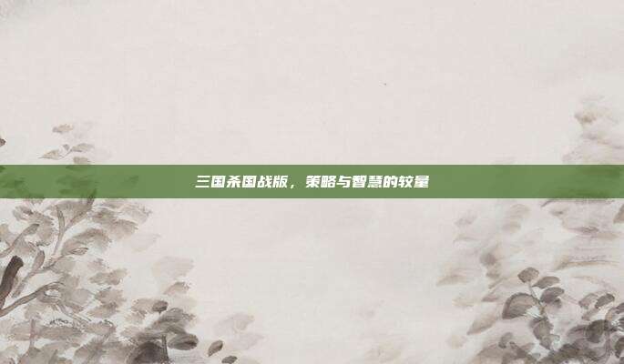三国杀国战版,策略与智慧的较量