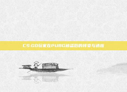 CS:GO玩家在PUBG被盗后的转变与适应
