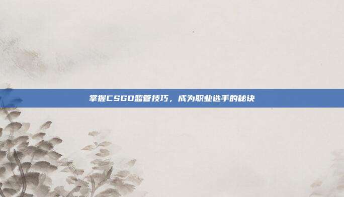 掌握CSGO监管技巧,成为职业选手的秘诀