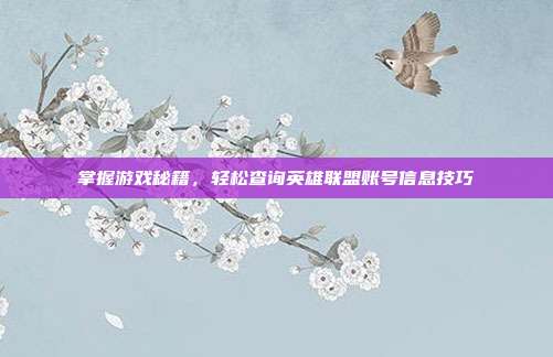掌握游戏秘籍,轻松查询英雄联盟账号信息技巧
