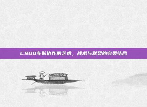 CSGO车队协作的艺术,战术与默契的完美结合